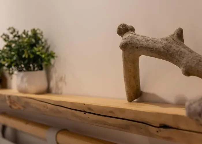 Hippocampus Home